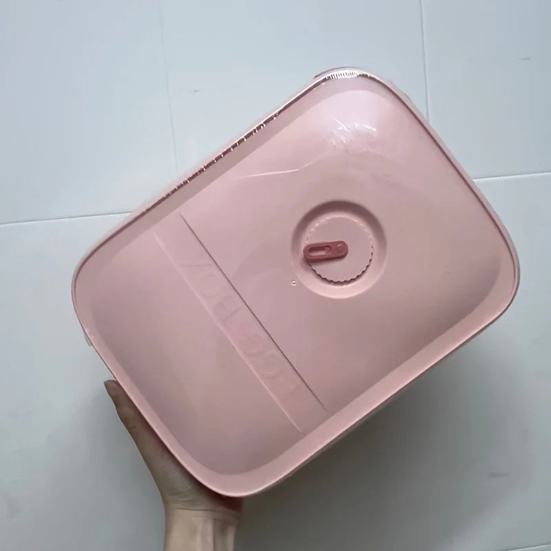 Cutie depozatiare pentru oua cu 2 sertare 