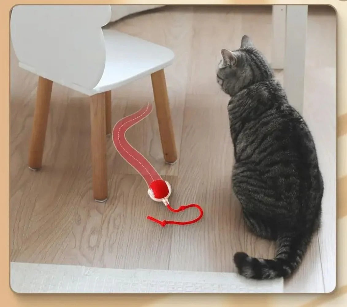 Jucarie interactiva pentru animalute