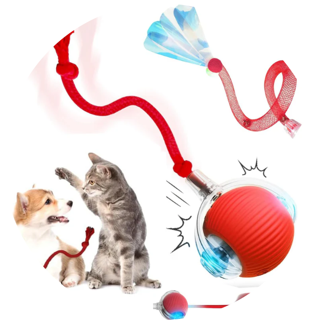 Jucarie interactiva pentru animalute