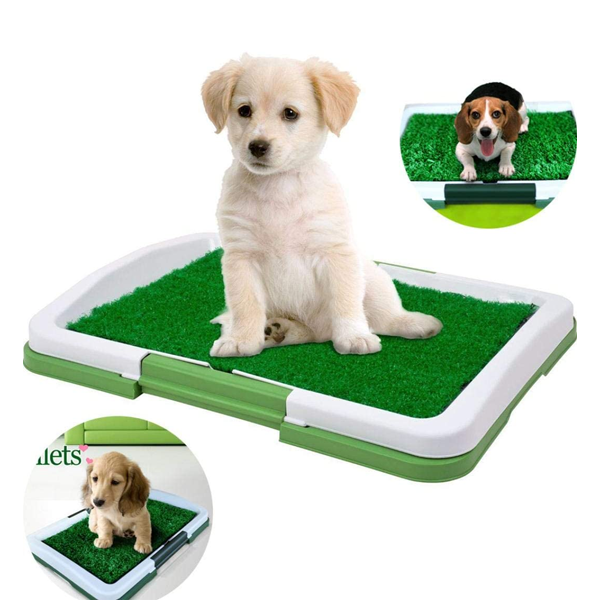 Toaleta Pentru Caini Pet Toilets